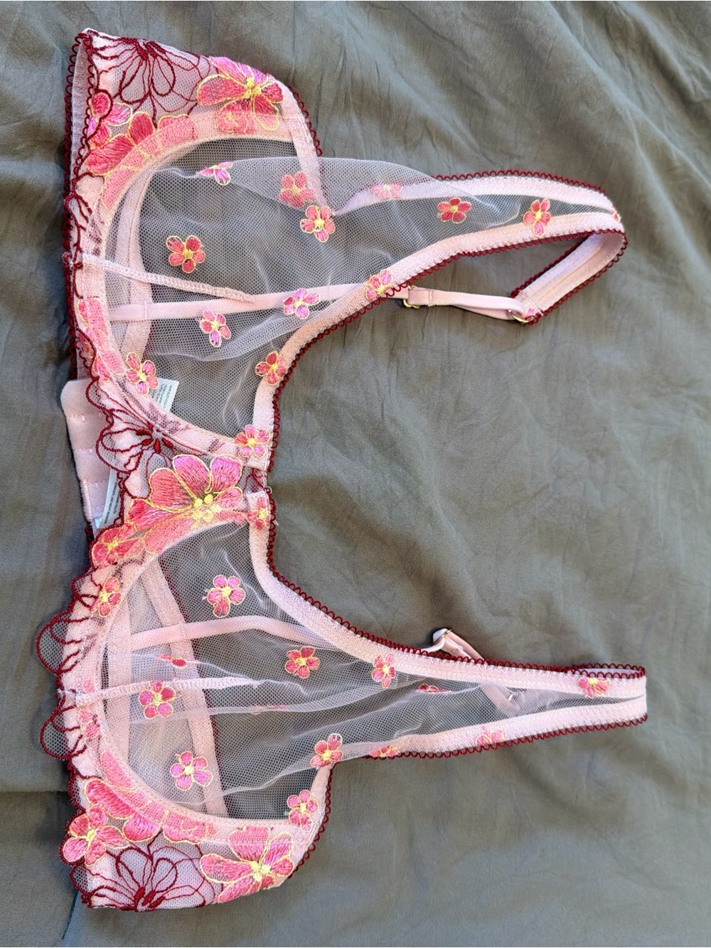 Urban Outfitters Pink and Burgundy Floral Sheer Bra